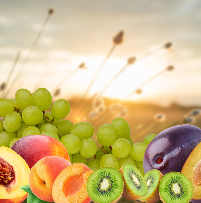 California Fresh Fruit 