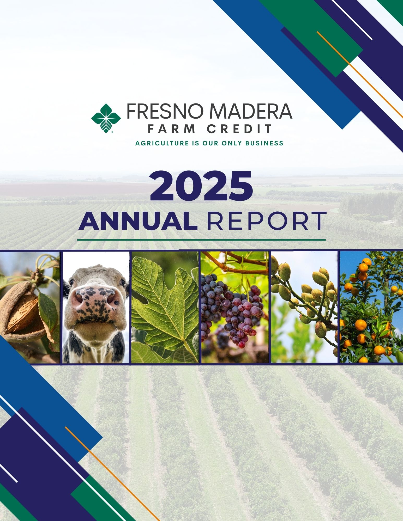 2025 Annual Report Cover